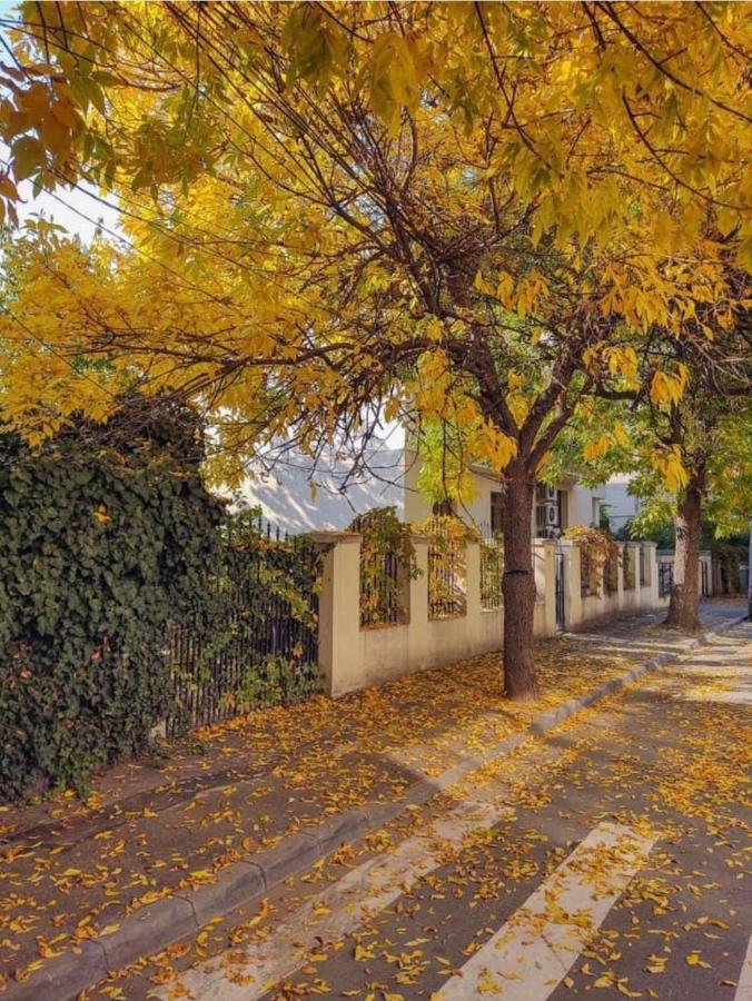 Apartament Charming Place Cotroceni